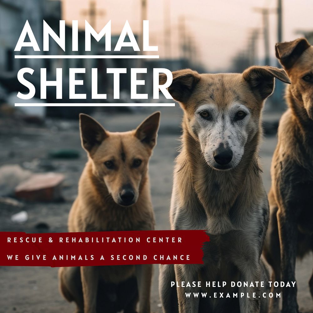 Animal shelter Instagram post template, editable text