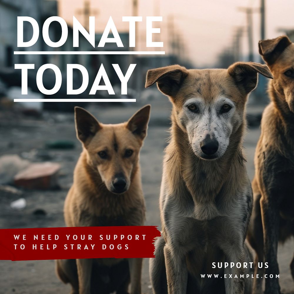 Donate today Instagram post template, editable text