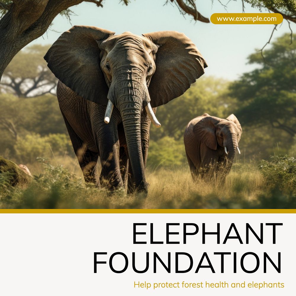 Elephant foundation Instagram post template, editable text