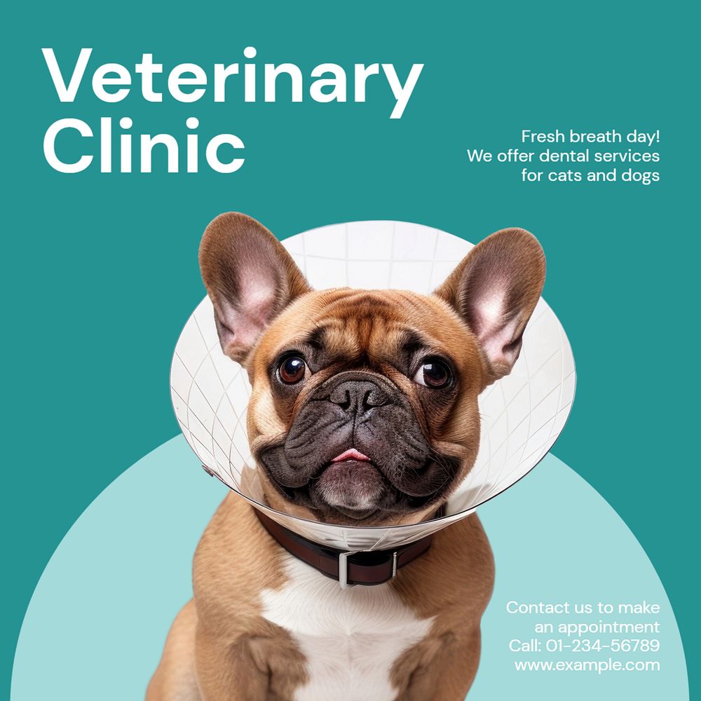 Veterinary clinic Instagram post template, editable text