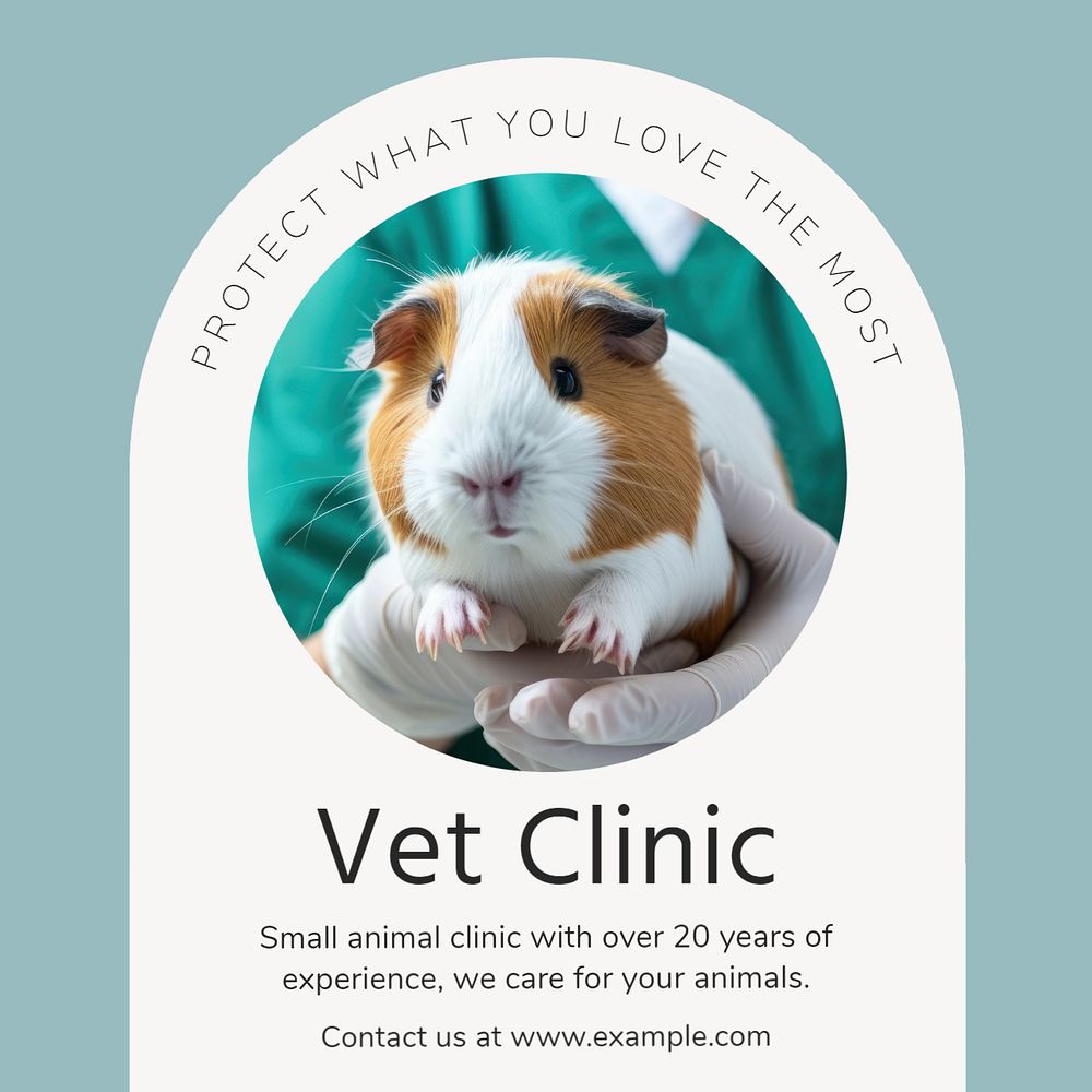 Vet clinic Instagram post template, editable text