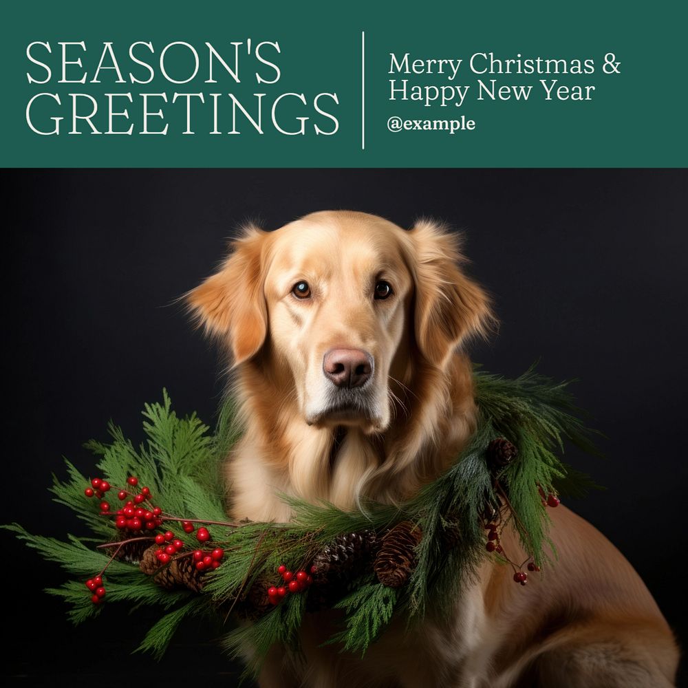 Season's greetings Instagram post template, editable text