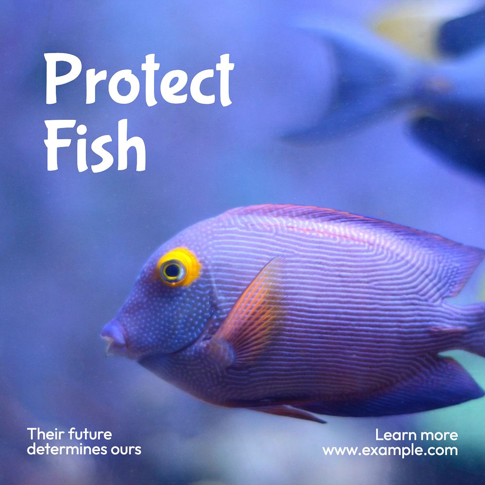 Protect fish Instagram post template, editable text