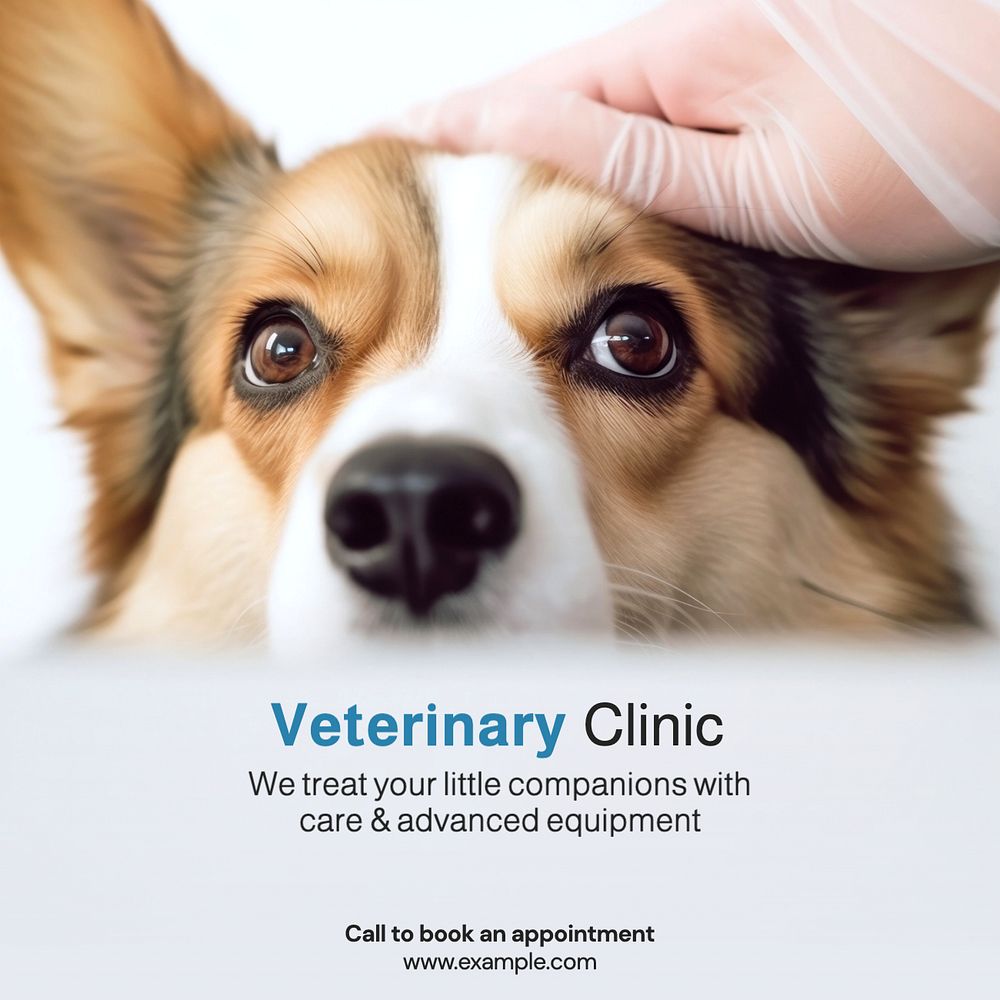 Vet clinic Instagram post template, editable text