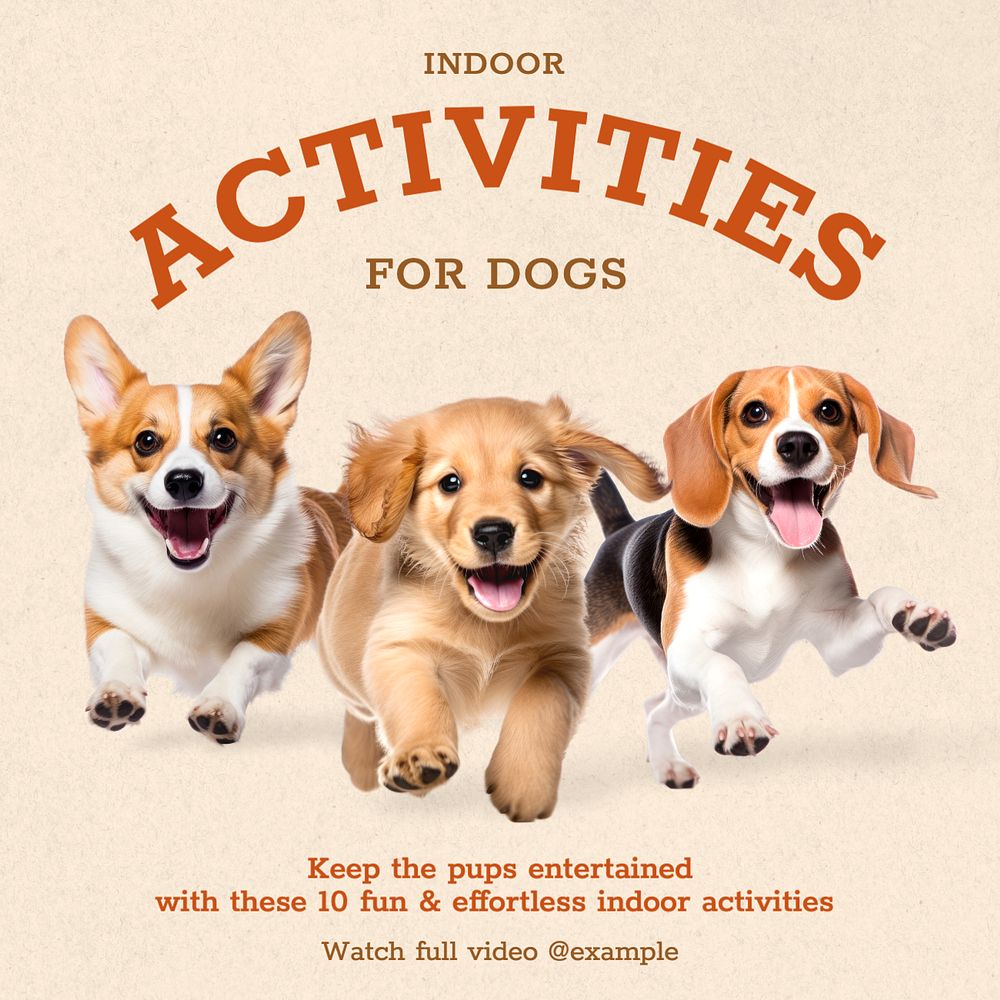 Pet activities Instagram post template, editable text