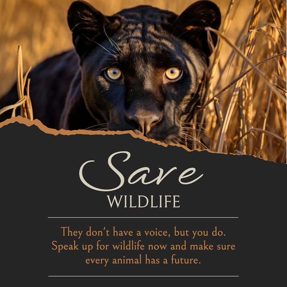 Save wildlife Instagram post template, editable text