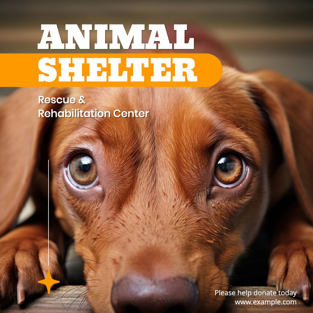 Animal shelter Instagram post template, editable text