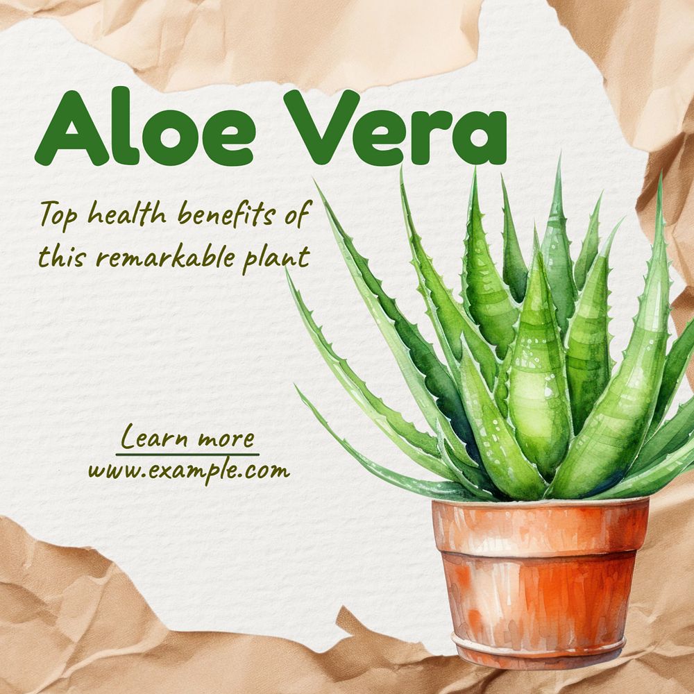 Aloe vera Instagram post template, editable text