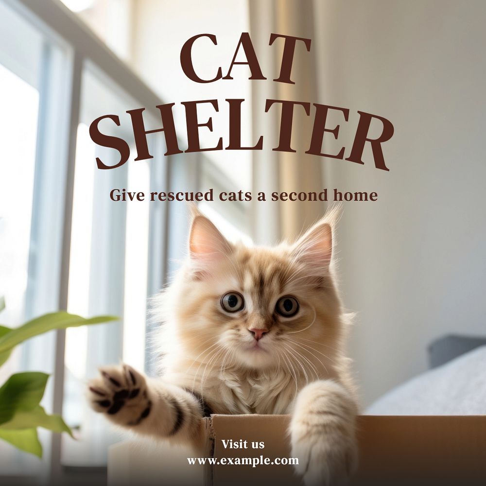 Cat shelter Instagram post template, editable text