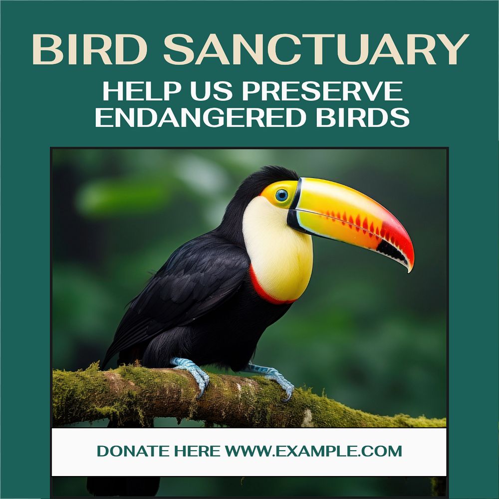 Bird sanctuary Instagram post template, editable text