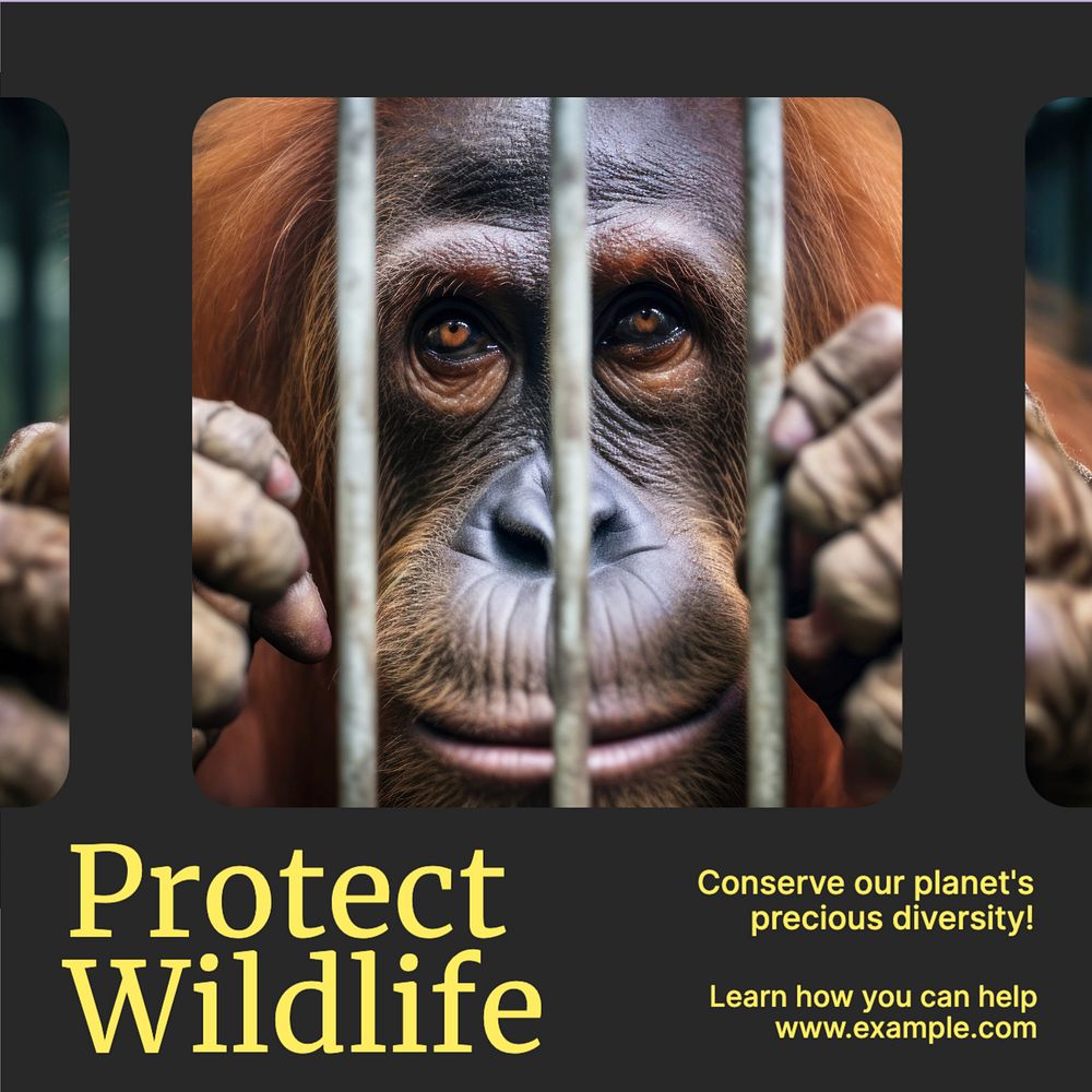 Protect wildlife