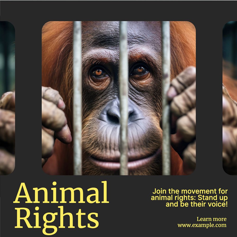 Animal rights Instagram post template, editable text