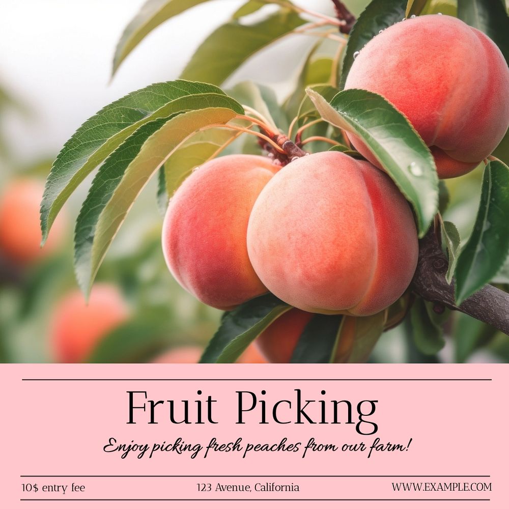 Fruit picking Instagram post template, editable text