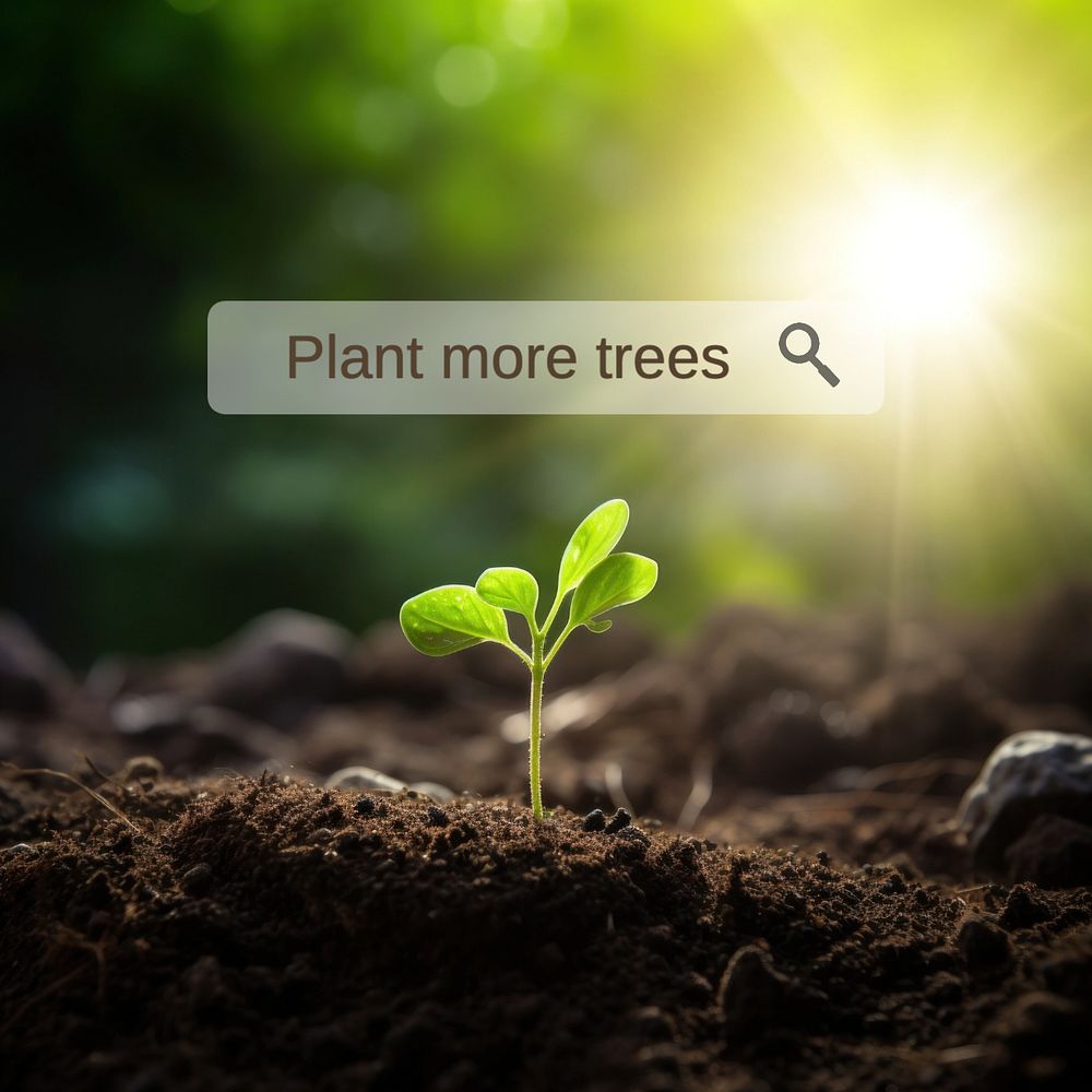 Plant more trees Instagram post template, editable text