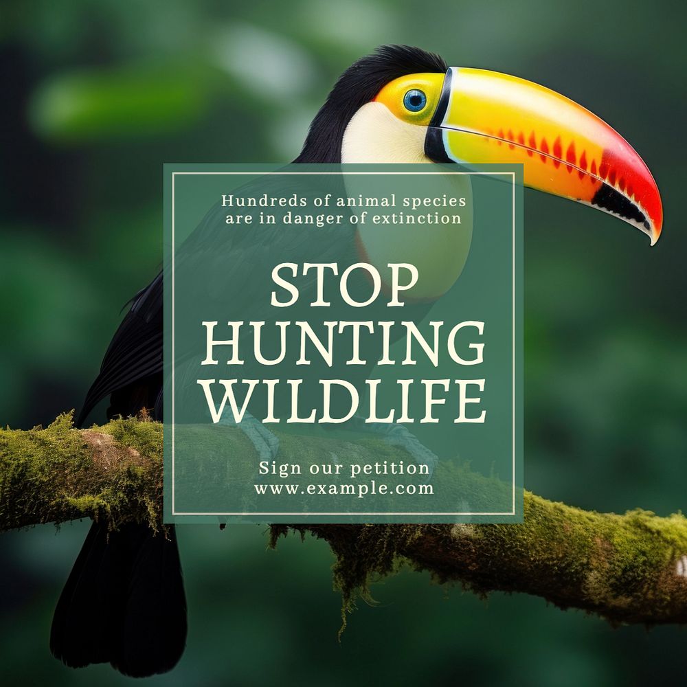 Stop hunting wildlife Instagram post template, editable text