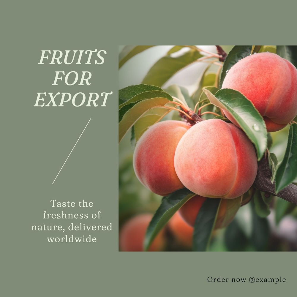 Fruit export Instagram post template, editable text