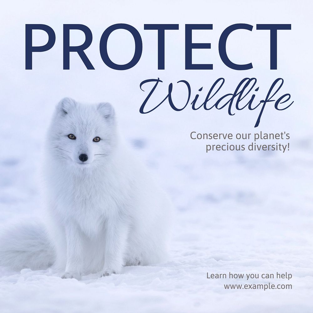 Protect wildlife   Instagram post template, editable text