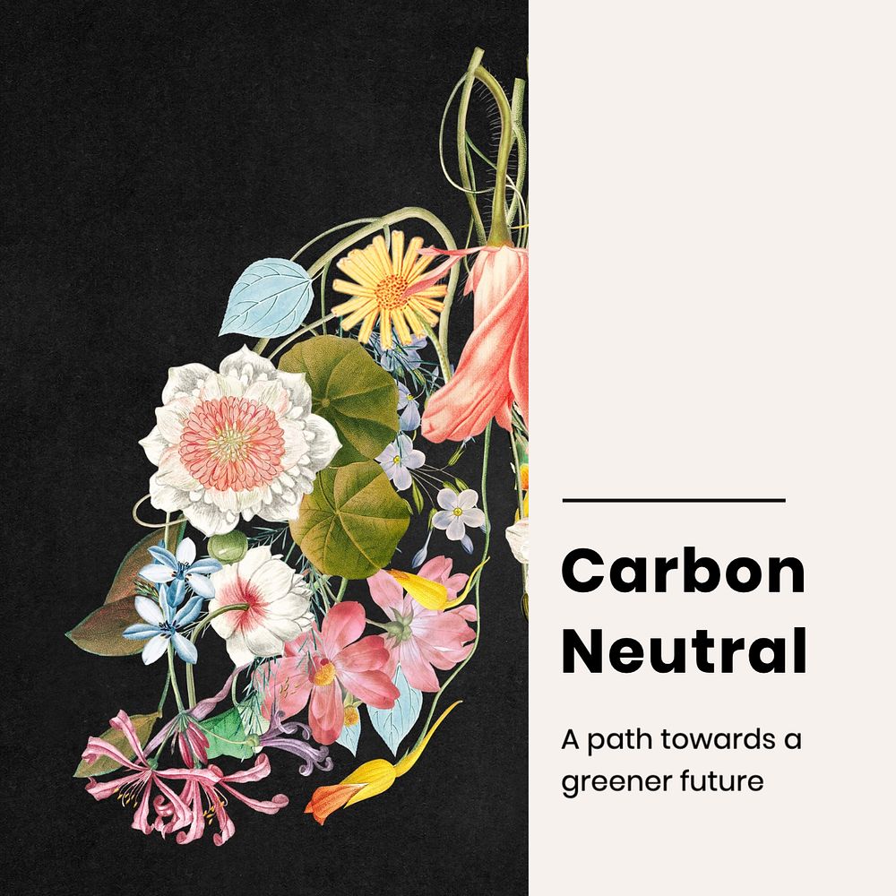 Carbon neutral  Instagram post template, editable text