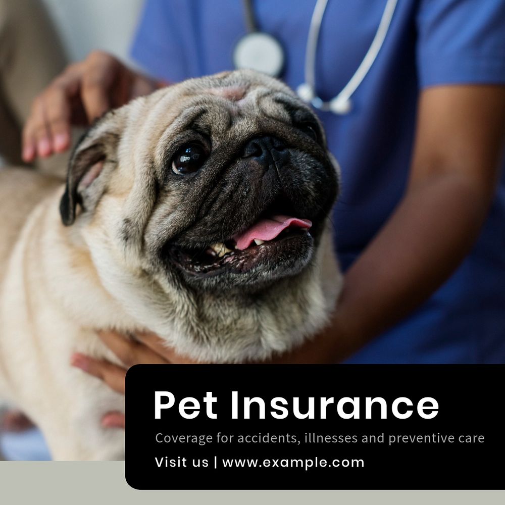 Pet insurance Instagram post template, editable text