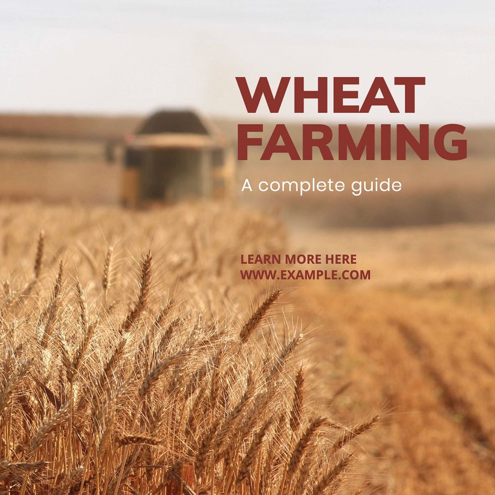 Wheat farming Instagram post template, editable text