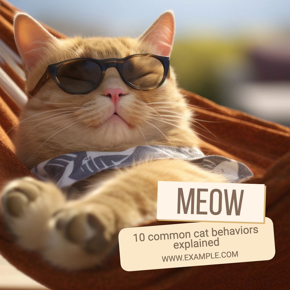 Cat & kitten Instagram post template, editable text