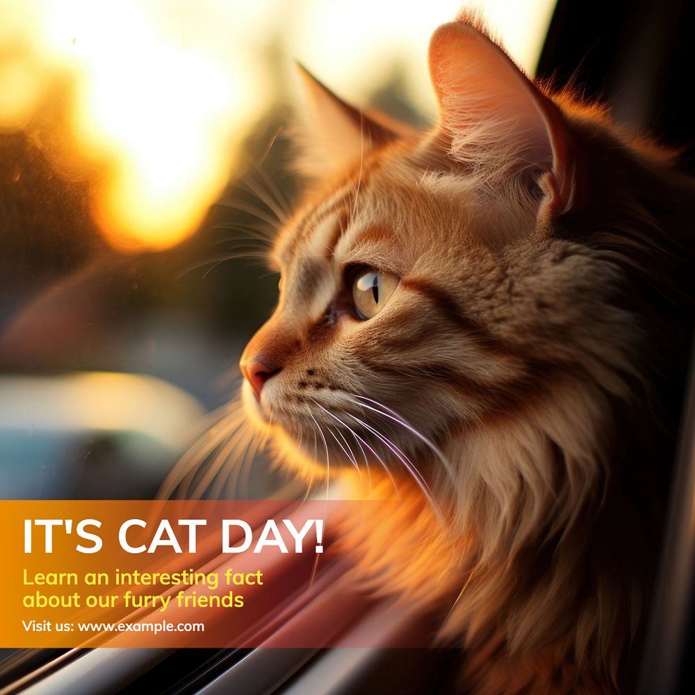 Cat day Instagram post template, editable text