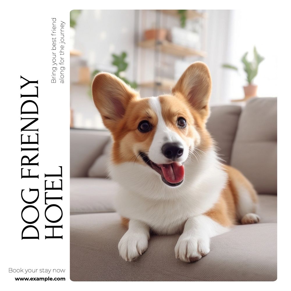 Dog friendly hotel Instagram post template, editable text