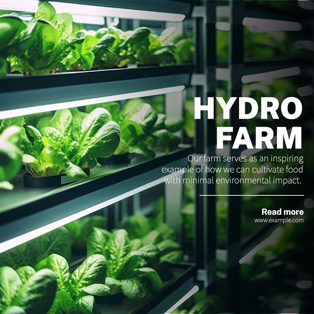 Hydro farm Instagram post template, editable text