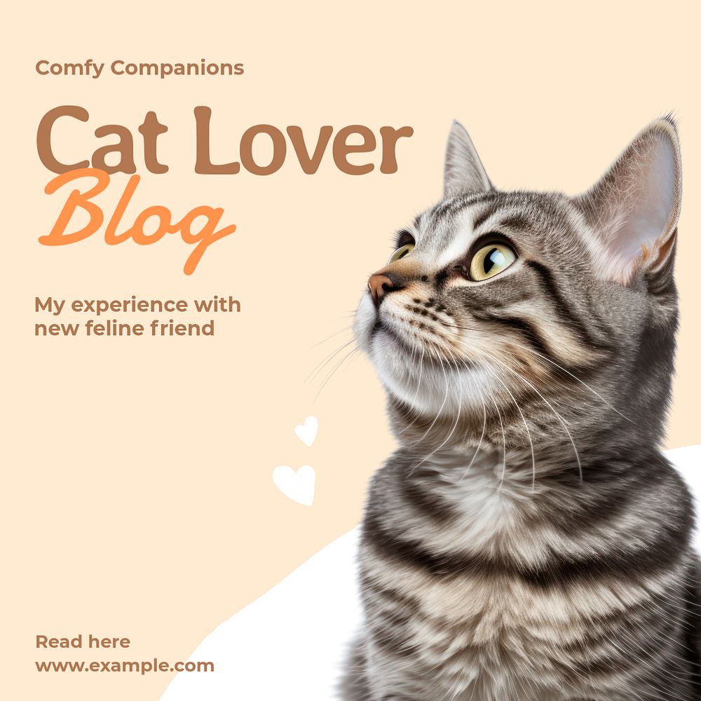 Cat lover Instagram post template, editable text