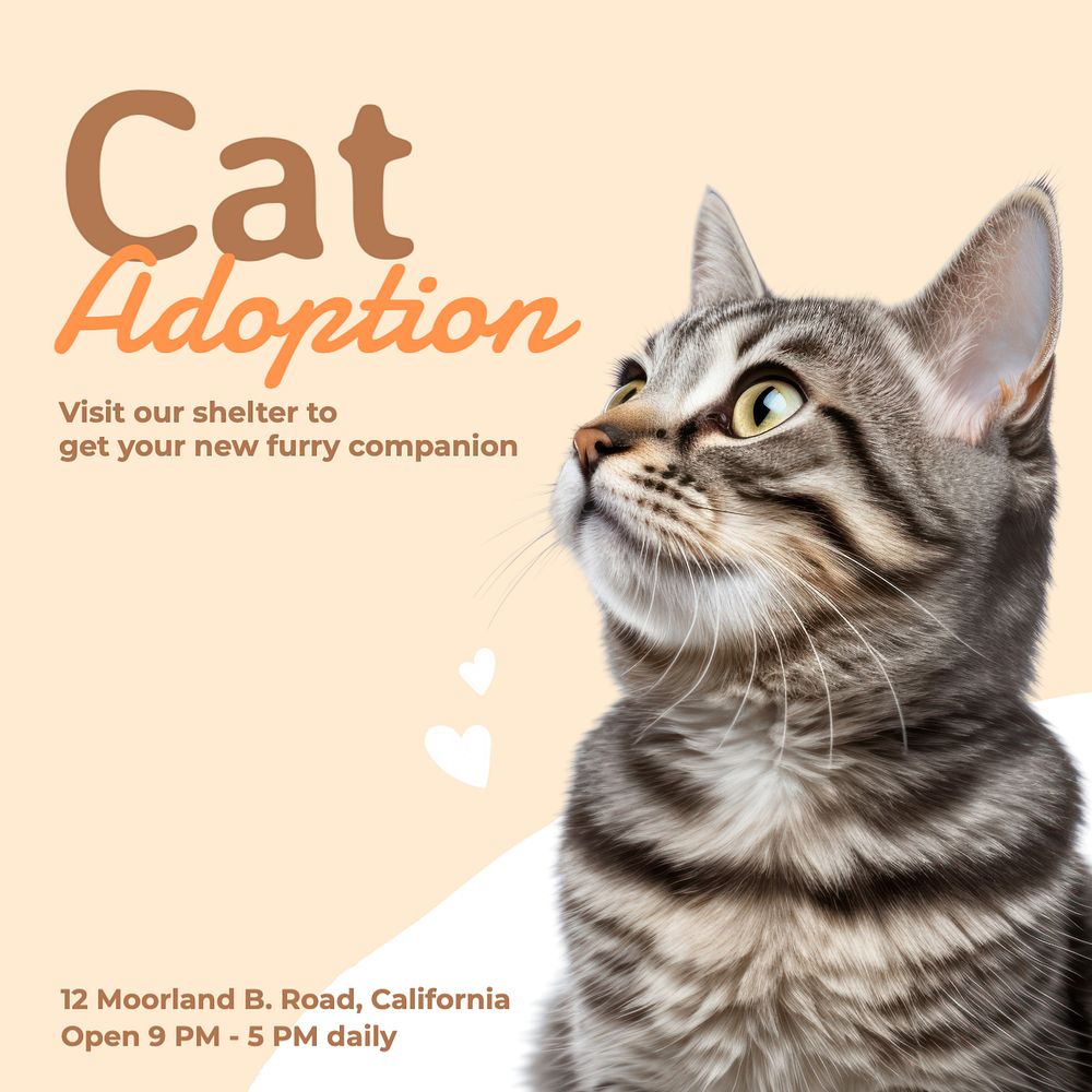 Cat adoption Instagram post template, editable text