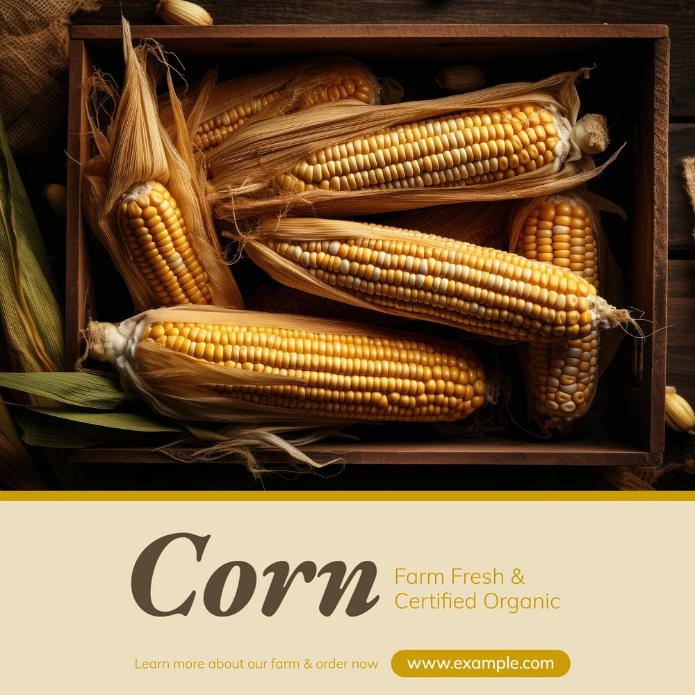 Corn farm Instagram post template, editable text