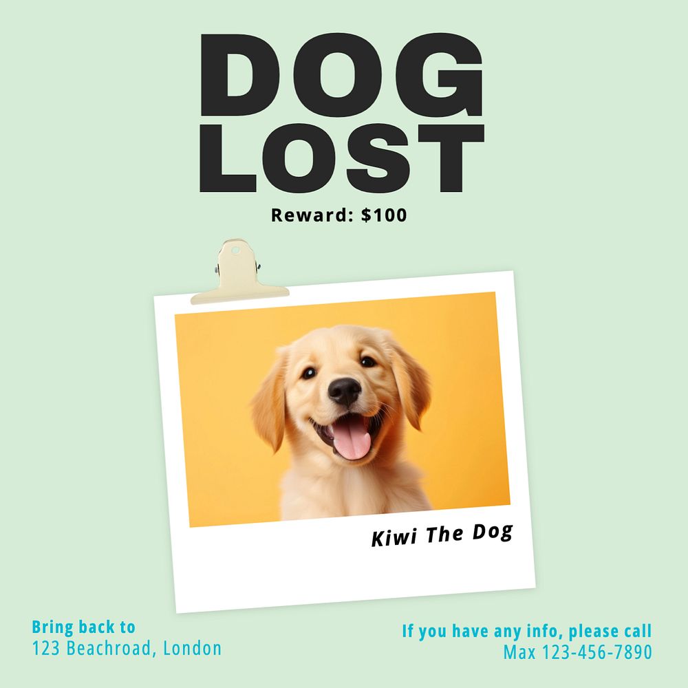 Lost animal Instagram post template, editable text