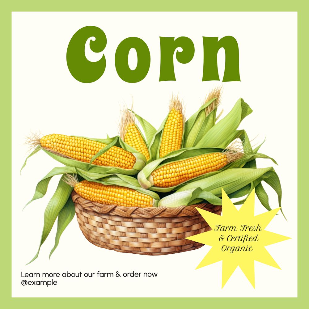 Corn farm Instagram post template, editable text