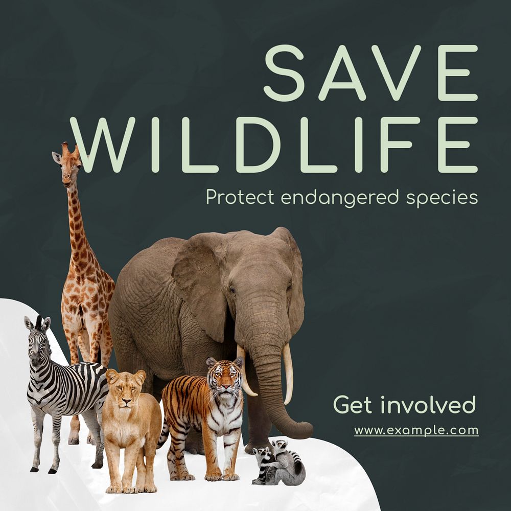 Save wildlife Instagram post template, editable text