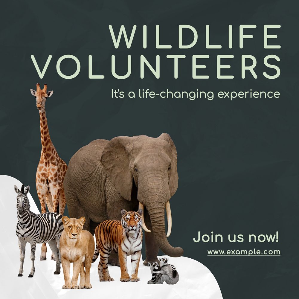 Wildlife volunteers Instagram post template, editable text