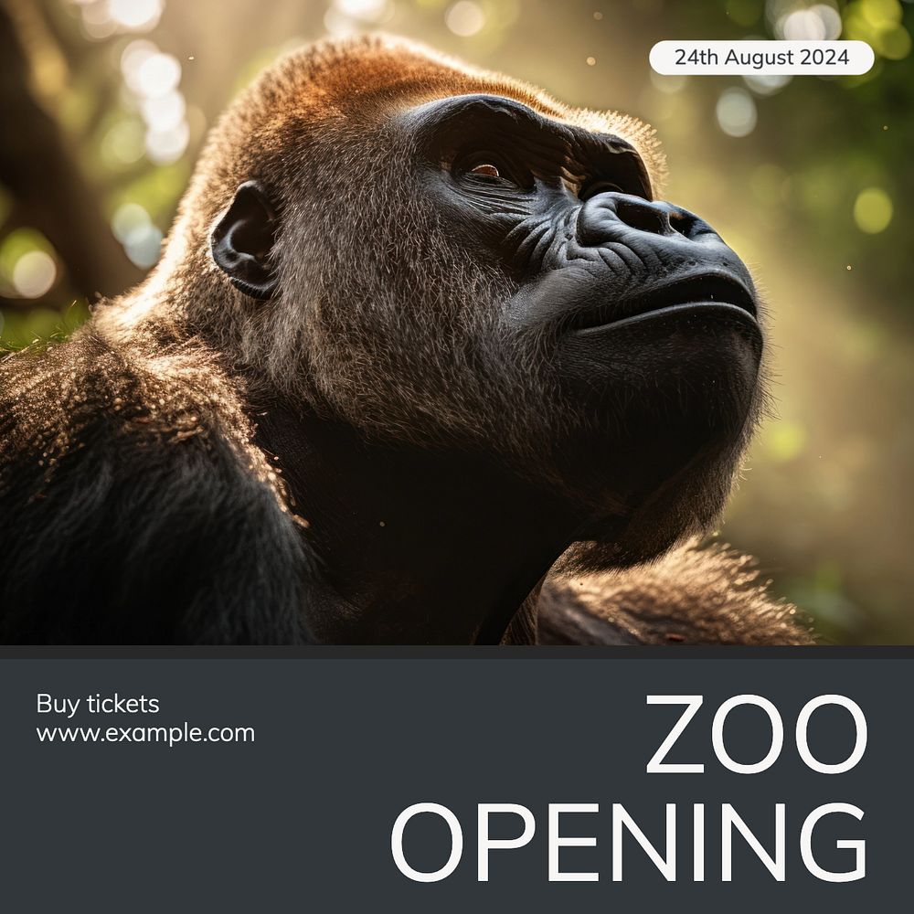 Zoo opening Instagram post template, editable text