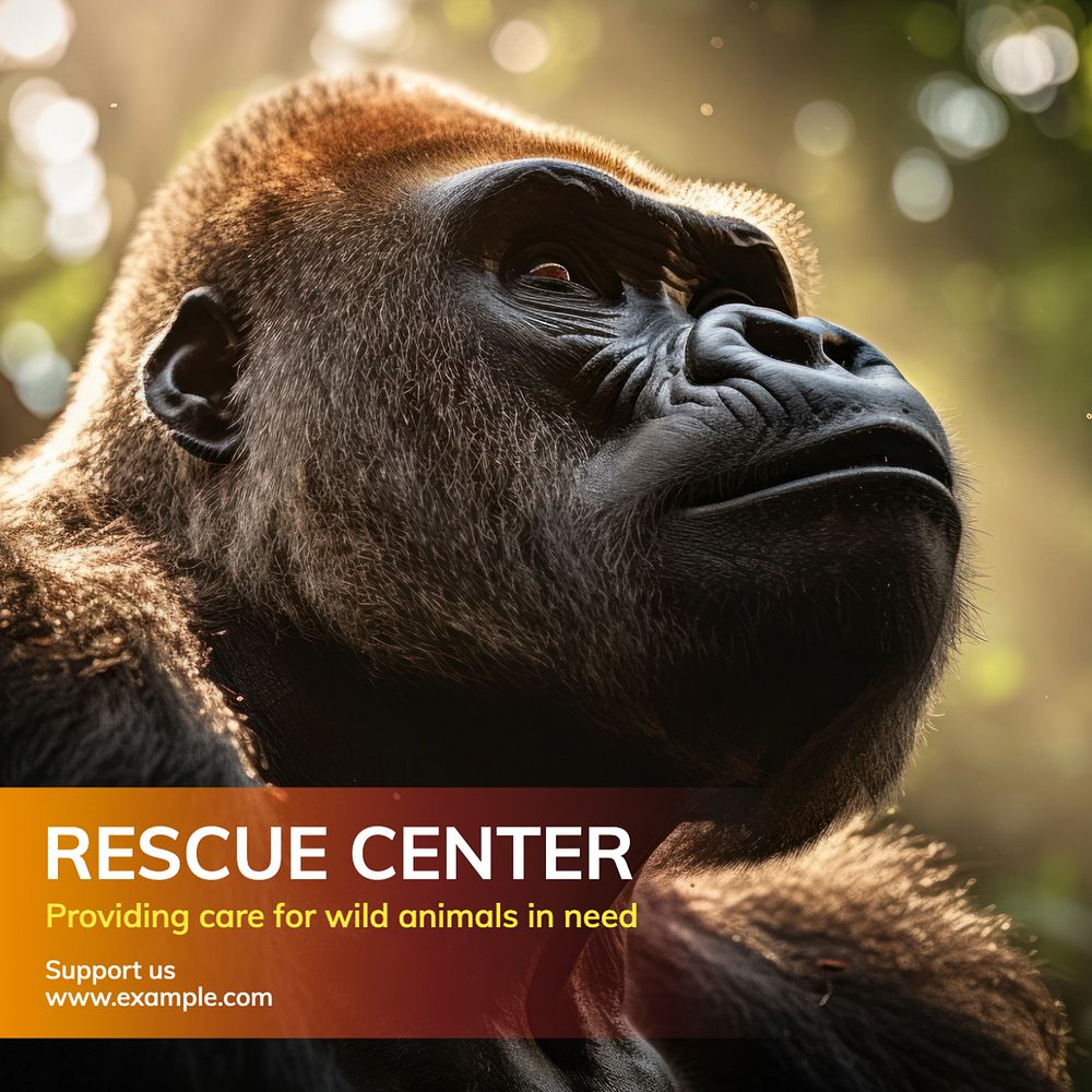 Rescue center Instagram post template, editable text