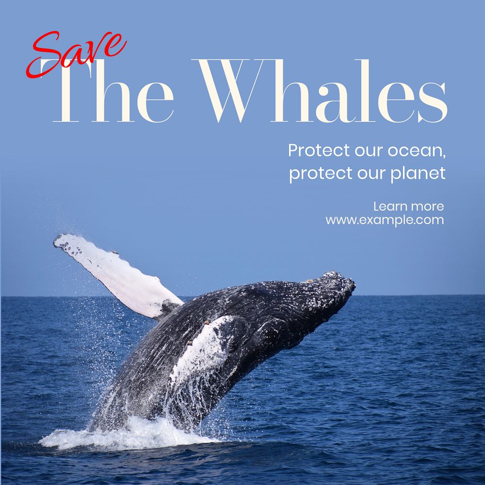 Save the whales  Instagram post template, editable text