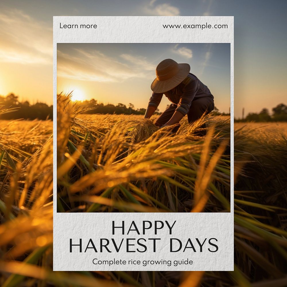 Harvest Instagram post template, editable text