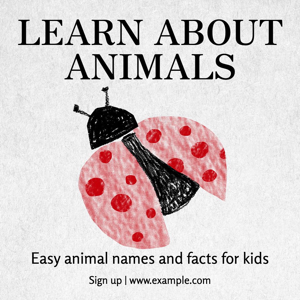 Learn about animals Instagram post template, editable text