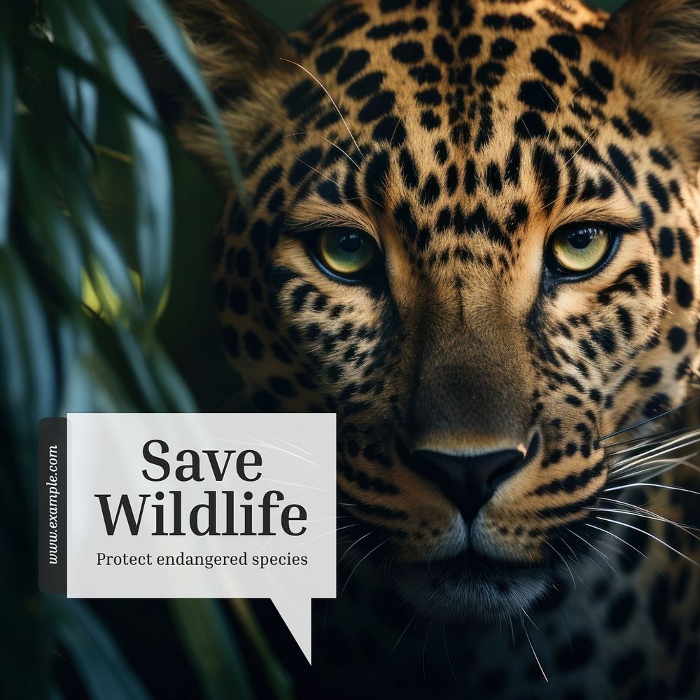 Save wildlife Instagram post template, editable text