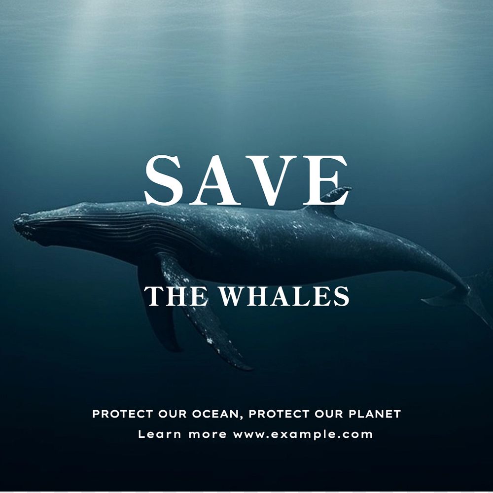 Save the whales Instagram post template, editable text