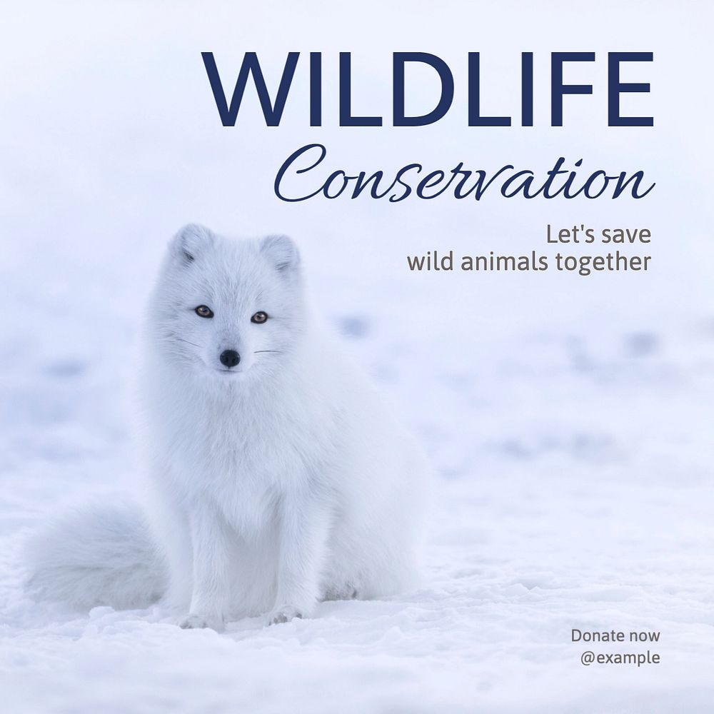 Wildlife conservation  Instagram post template, editable text