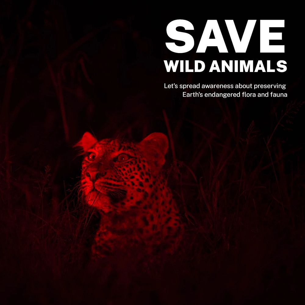 Save wild animals Instagram post template, editable text