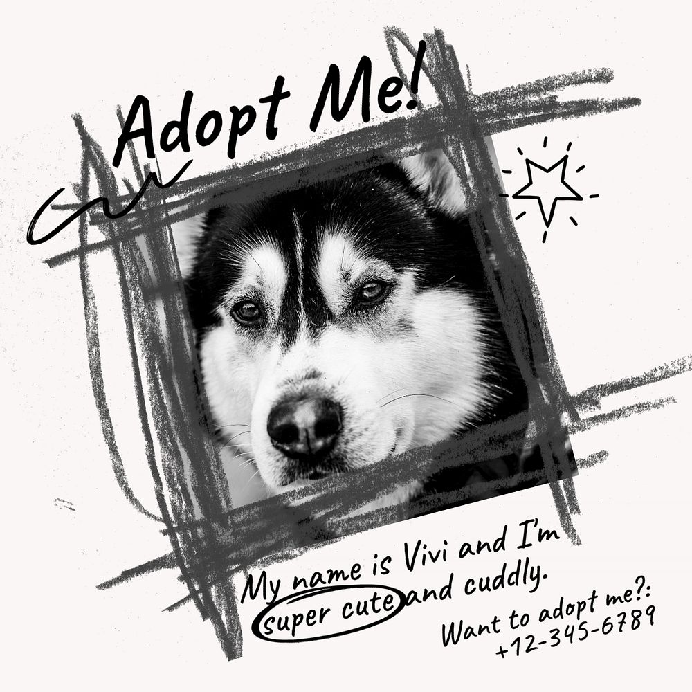 Pet adoption Instagram post template, editable text