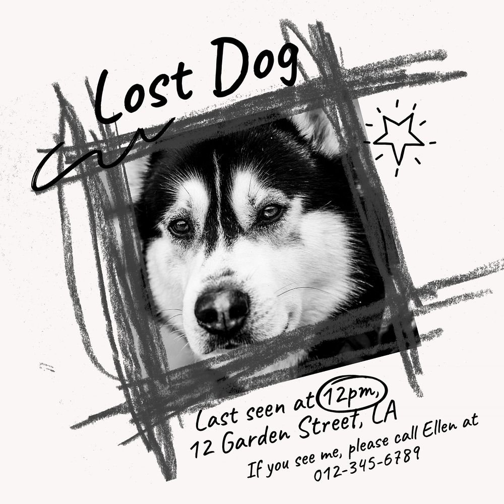 Lost dog Instagram post template, editable text