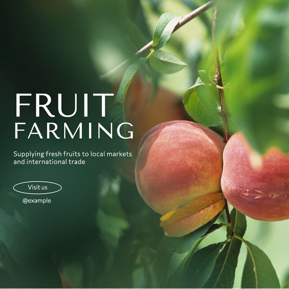 Fruit farming  Instagram post template, editable text