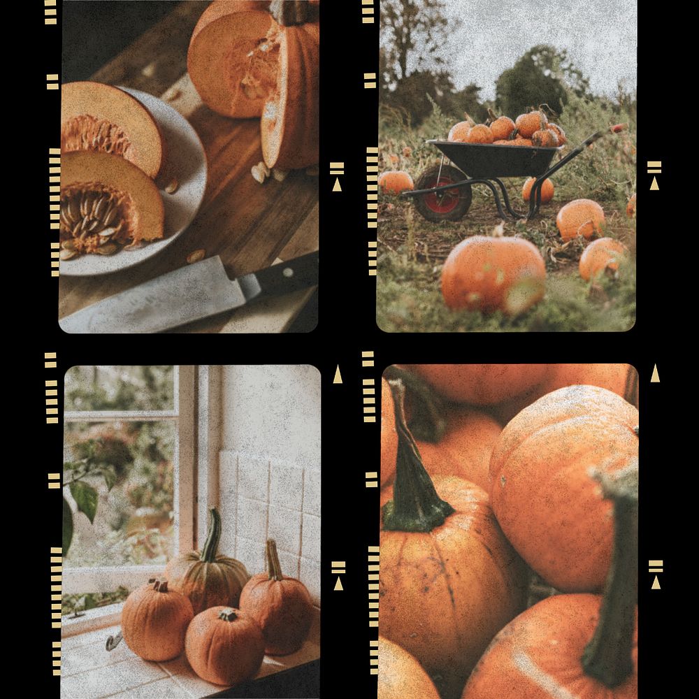 Customizable Autumn analog film photo collage