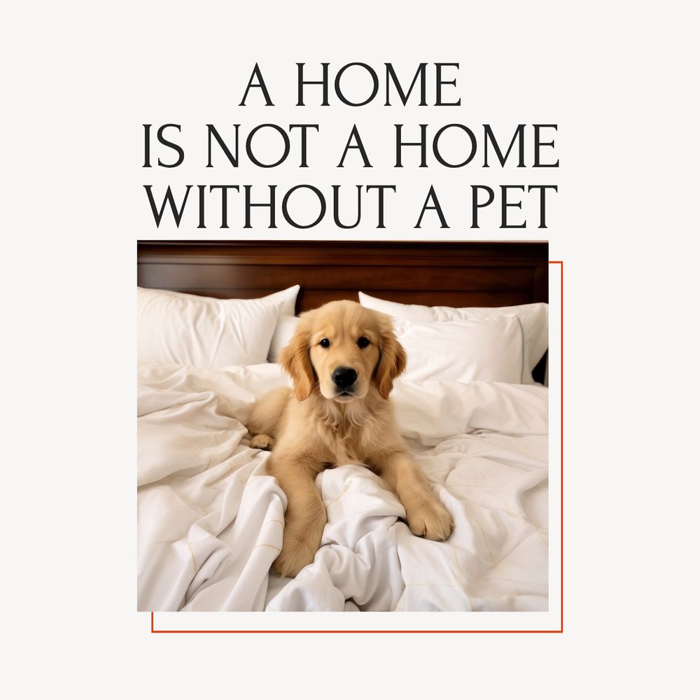 Pet quote Instagram post template, editable text