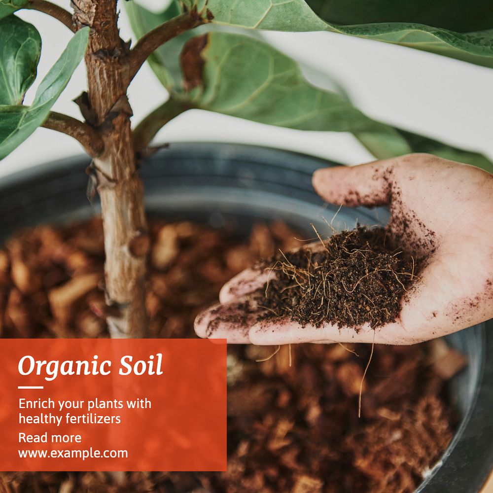 Soil Instagram post template, editable text